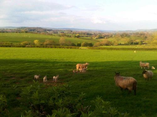 The Draen Bed And Breakfast Brecon Exterior photo