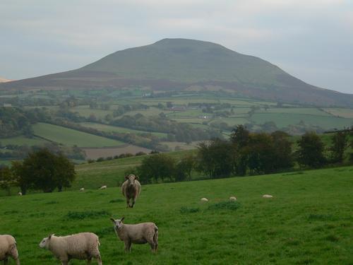 The Draen Bed And Breakfast Brecon Exterior photo